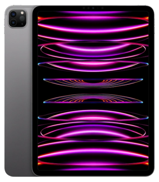 Apple iPad (2022) M2 Pro 12.9' 2TB Wi-Fi Sp. Gray
